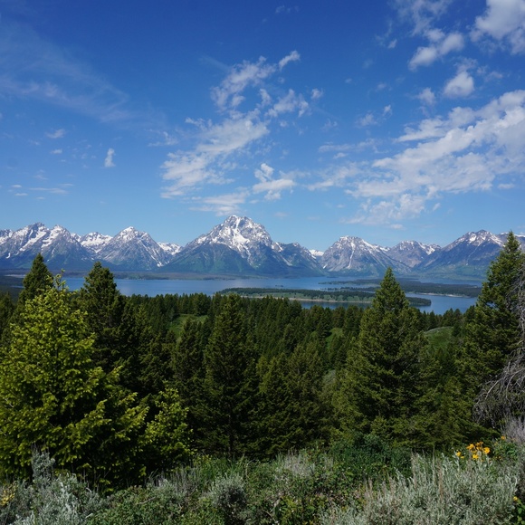 Meet your Posher, Sarah - Picture 1 of 1